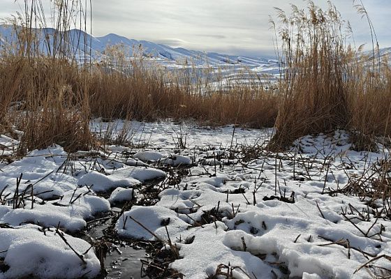 Фильм про поиски пропавшего ребёнка снят в Чечне при поддержке ФПРК